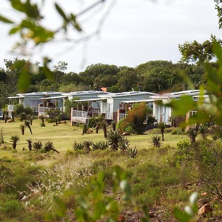 Stoneyvale Cottages Grahamstown Extérieur photo