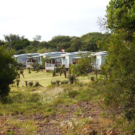 Stoneyvale Cottages Grahamstown Extérieur photo