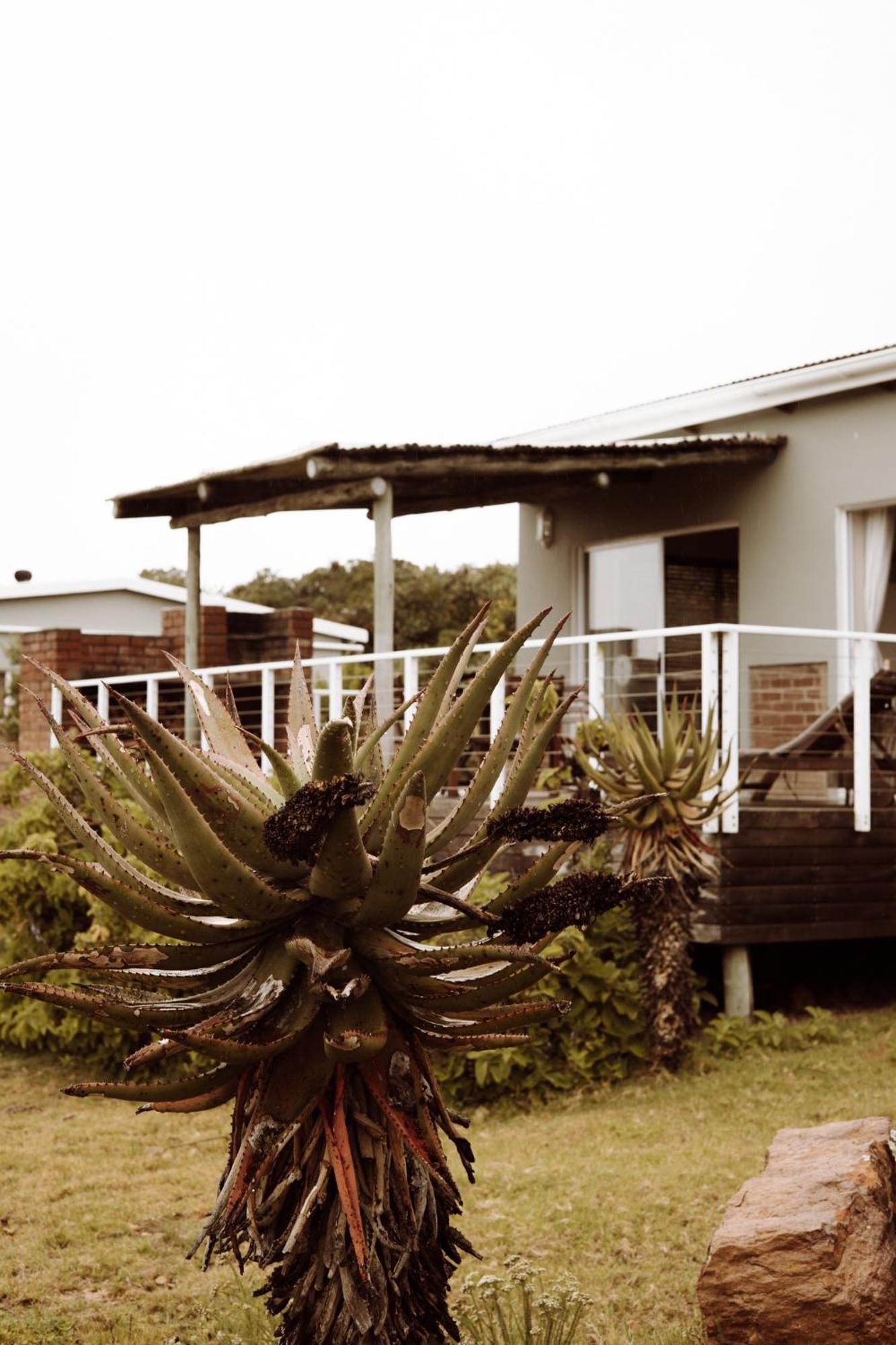 Stoneyvale Cottages Grahamstown Extérieur photo