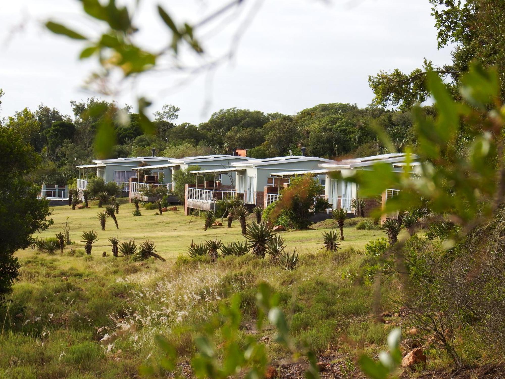 Stoneyvale Cottages Grahamstown Extérieur photo