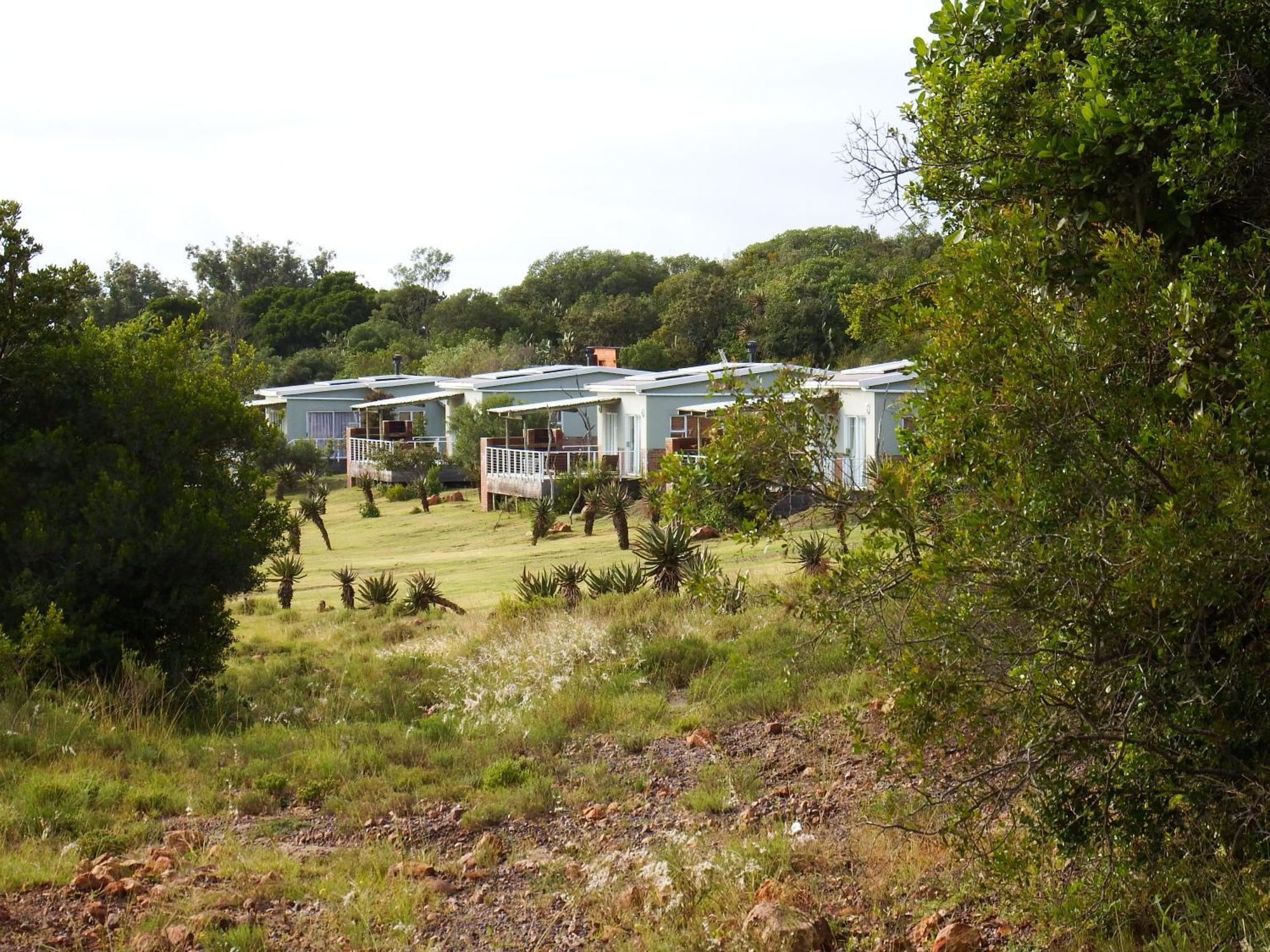 Stoneyvale Cottages Grahamstown Extérieur photo