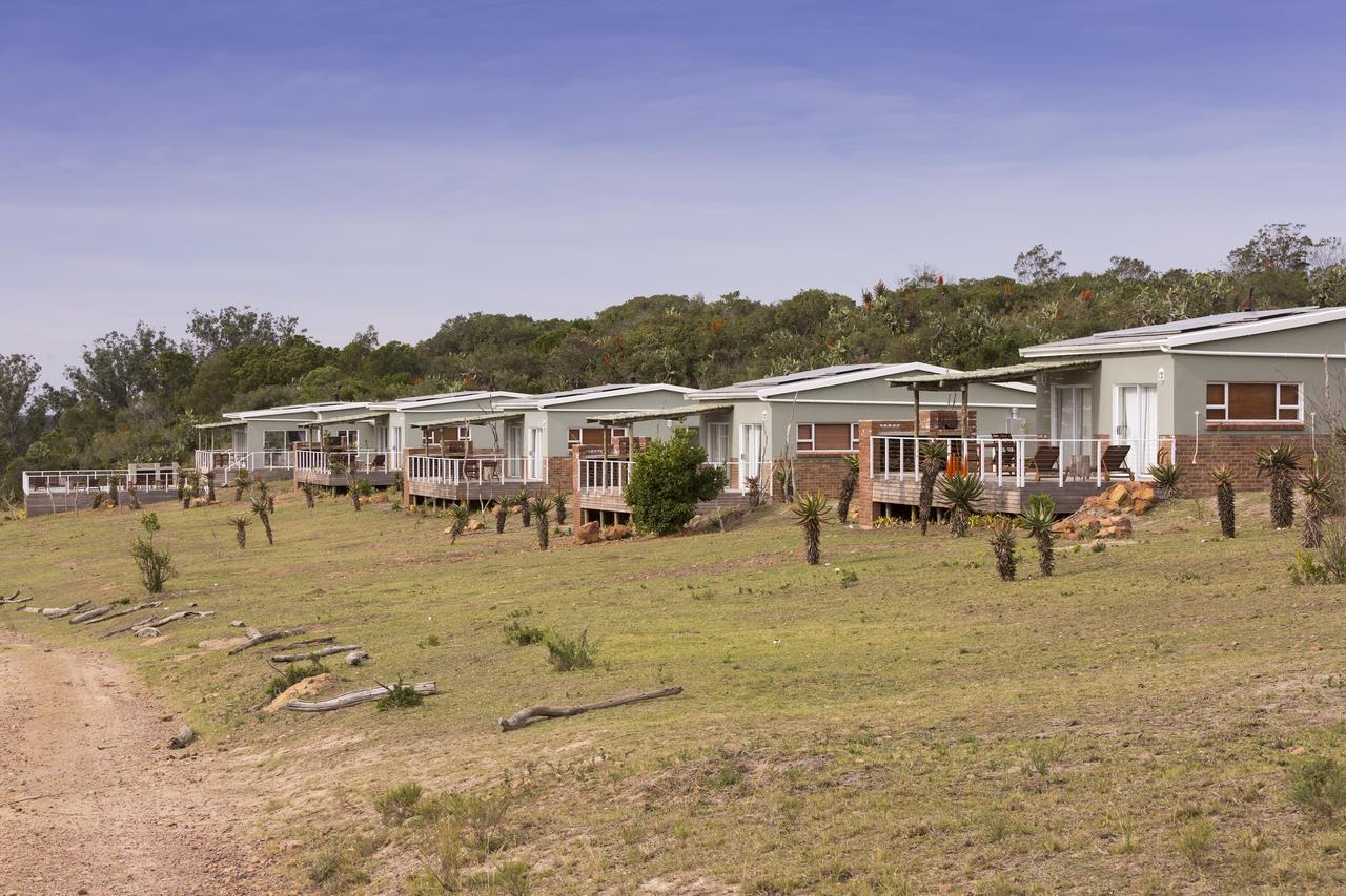 Stoneyvale Cottages Grahamstown Extérieur photo